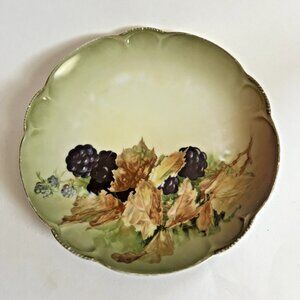 Beautiful Vintage JHR Charlotte Bavaria Blackberry Plate 8.25"